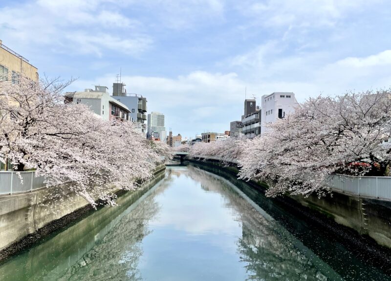 春の海辺橋＆仙台堀川